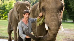 Кадры из фильма Жена смотрителя зоопарка / The Zookeeper's Wife (2017)