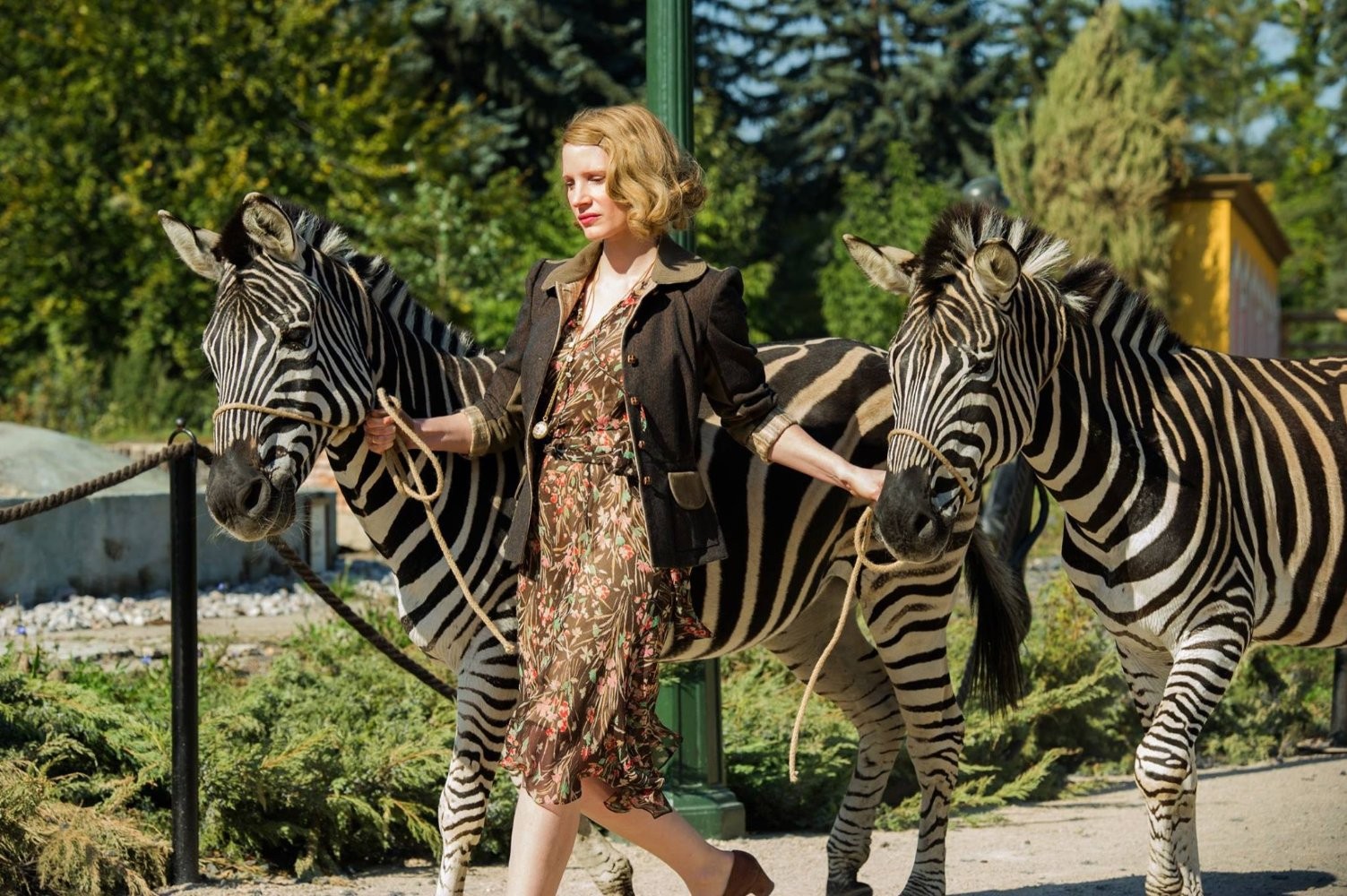 Кадр из фильма Жена смотрителя зоопарка / The Zookeeper's Wife (2017)