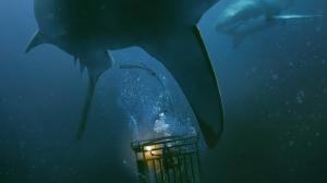 Кадры из фильма Синяя бездна / 47 Meters Down (2017)