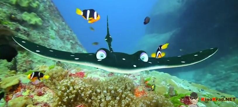 Кадр из фильма Рыбки / Fishtales (2017)