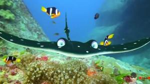 Кадры из фильма Рыбки / Fishtales (2017)