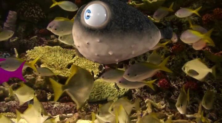 Кадр из фильма Рыбки / Fishtales (2017)