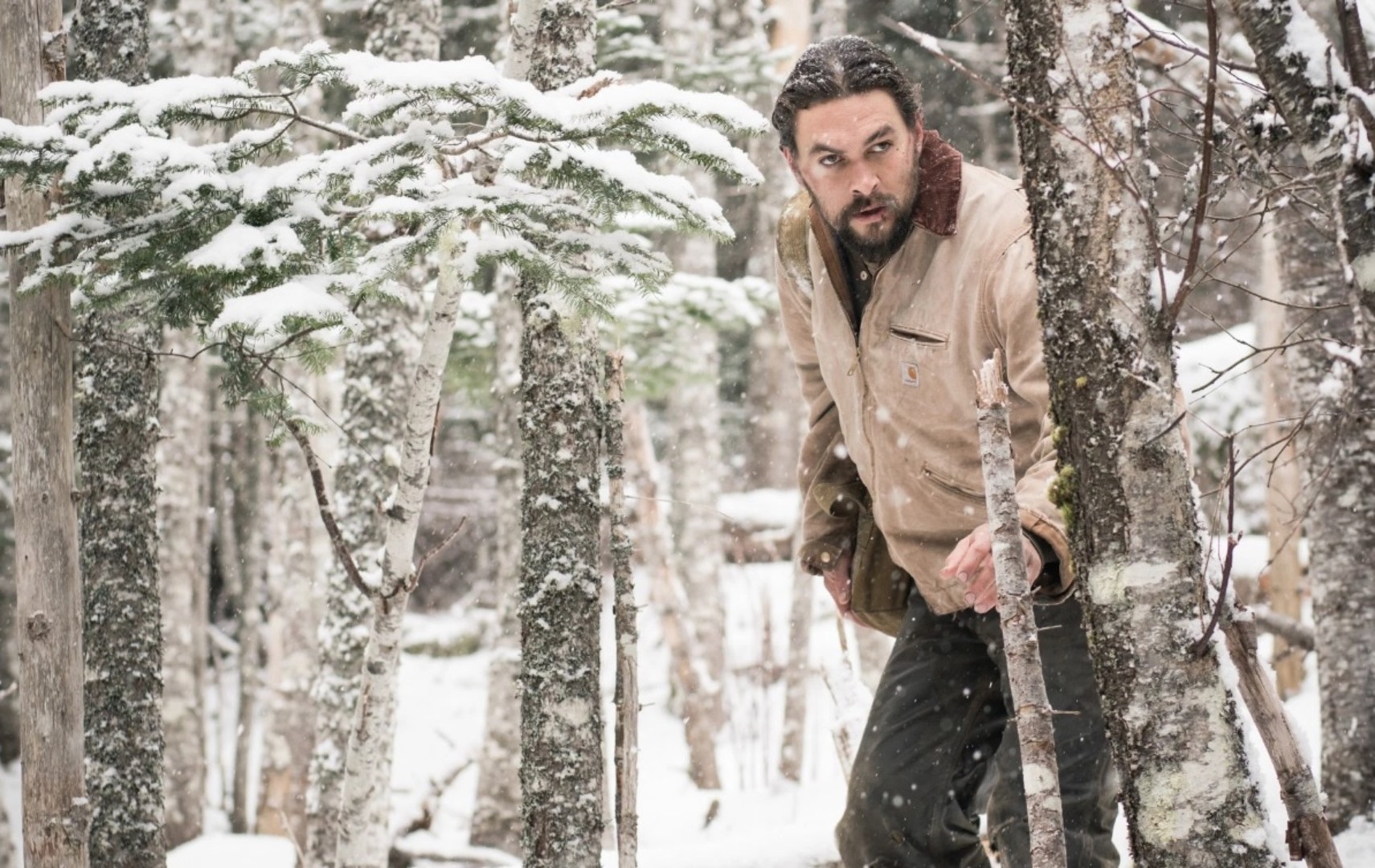 Кадр из фильма Дикий / Braven (2018)
