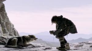 Кадры из фильма Альфа / Alpha (2018)