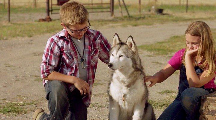 Кадр из фильма Тимбер – говорящая собака / Timber the Treasure Dog (2016)