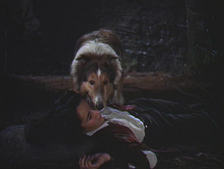 Кадр из фильма Храбрость Лэсси / Lassie (1946)