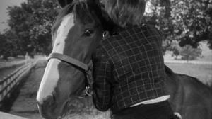 Кадры из фильма Мой брат разговаривает с лошадьми / My Brother Talks To Horses (1947)