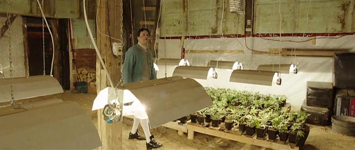 Кадр из фильма Плохие семена / Les mauvaises herbes (2016)