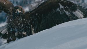 Кадры из фильма Братья ветра / Brothers of the Wind (2015)