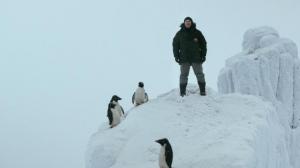 Кадры из фильма Пингвин нашего времени / Mädchen im Eis (2015)
