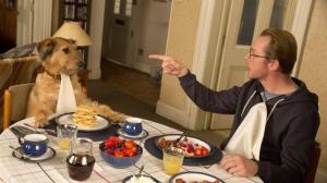Кадры из фильма Всё могу / Absolutely Anything (2015)