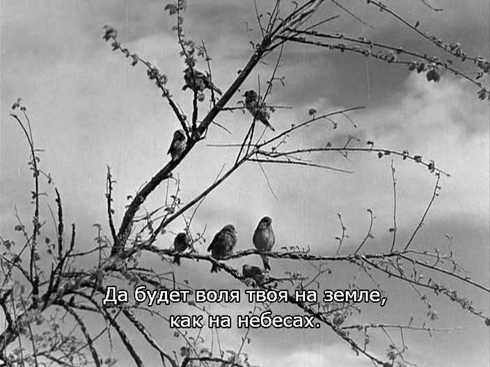 Кадр из фильма Франциск, менестрель Божий / Francesco, giullare di Dio (1950)