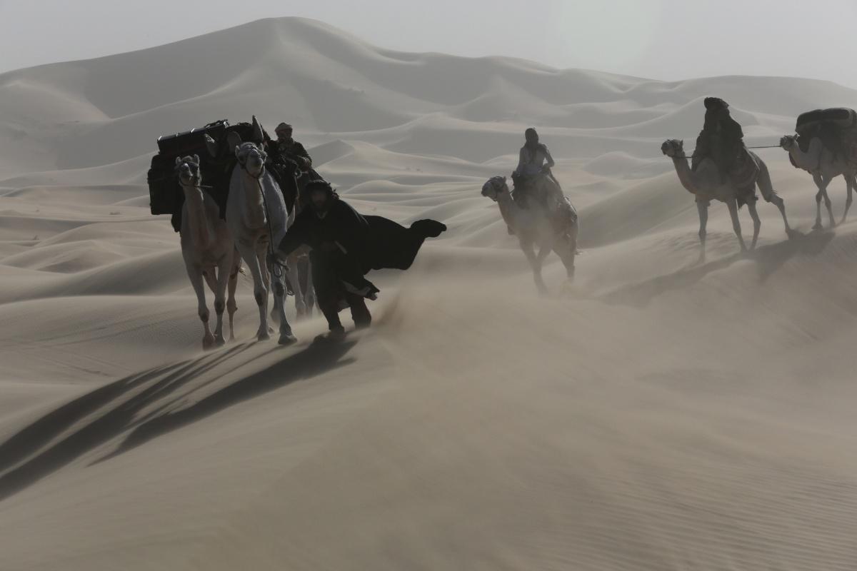 Кадр из фильма Королева пустыни / Queen of the Desert (2015)