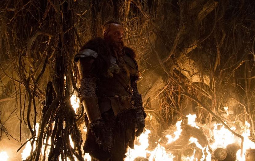Кадр из фильма Последний охотник на ведьм / The Last Witch Hunter (2015)