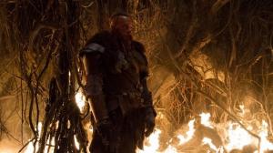 Кадры из фильма Последний охотник на ведьм / The Last Witch Hunter (2015)