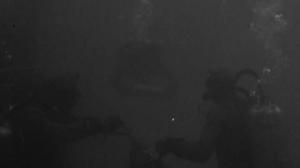 Кадры из фильма Водолазы / The Frogmen (1951)