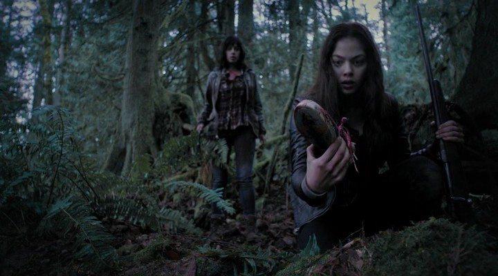 Кадр из фильма Лощина / The Hollow (2015)