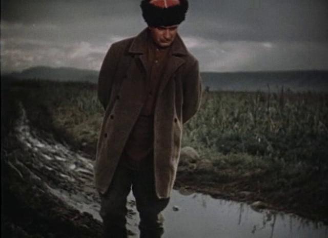 Кадр из фильма Кавалер Золотой звезды (1951)