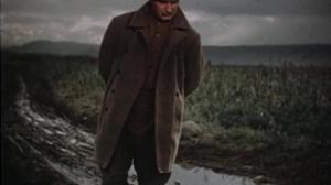 Кадры из фильма Кавалер Золотой звезды (1951)