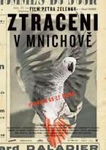 Потерянные в Мюнхене / Ztraceni v Mnichove (2015)