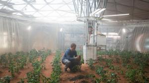 Кадры из фильма Марсианин / The Martian (2015)