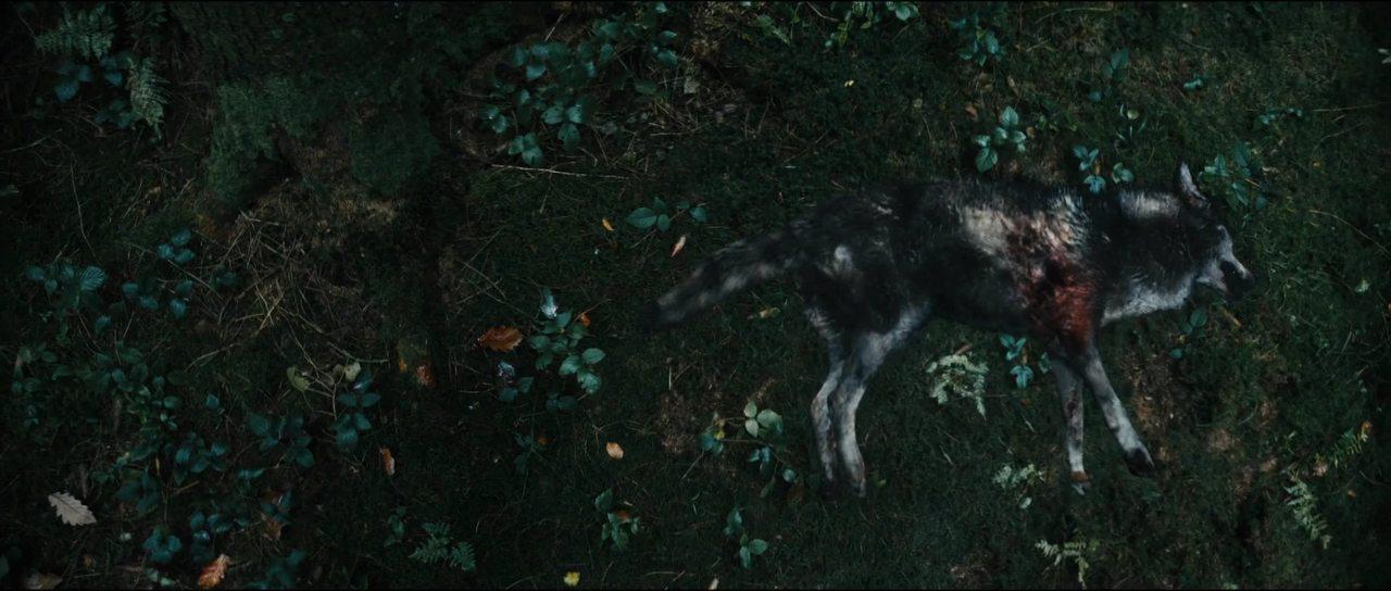 Кадр из фильма Тёмная сторона Луны / Die dunkle Seite des Mondes (2015)