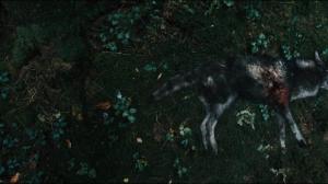 Кадры из фильма Тёмная сторона Луны / Die dunkle Seite des Mondes (2015)
