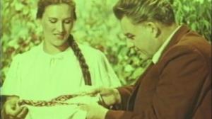 Кадры из фильма Калиновая роща (1954)