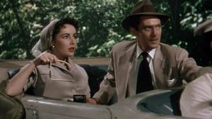 Кадры из фильма Слоновья тропа / Elephant Walk (1954)