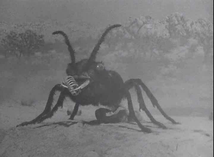 Кадр из фильма Они / Them! (1954)