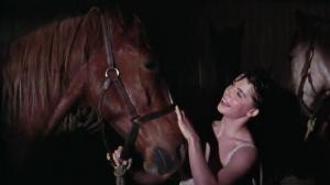 Кадры из фильма Четверо у границы / Four Guns to the Border (1954)