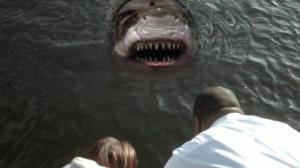 Кадры из фильма Акулы-зомби / Zombie Shark (2015)