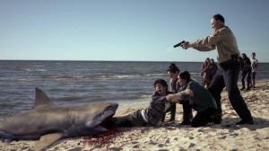 Кадры из фильма Акулы-зомби / Zombie Shark (2015)