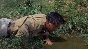 Кадры из фильма Зеленый огонь / Green Fire (1954)