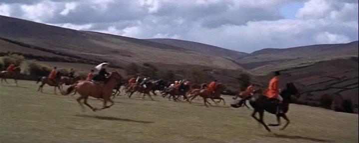 Кадр из фильма Неукротимый / Untamed (1955)