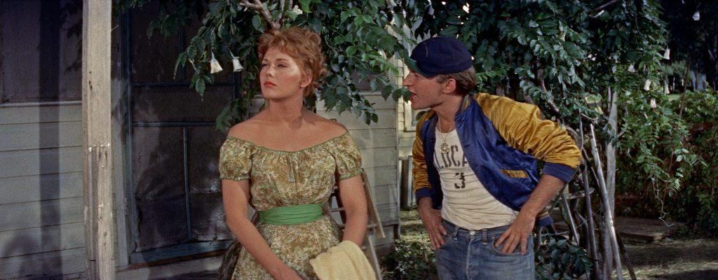 Кадр из фильма Пикник / Picnic (1955)