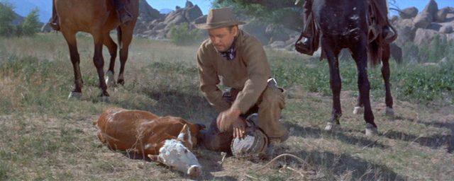 Кадр из фильма Жестокие люди / The Violent Men (1955)
