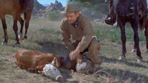 Кадры из фильма Жестокие люди / The Violent Men (1955)
