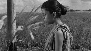 Кадры из фильма Песнь дороги / Pather Panchali (1955)