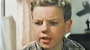 Кадры из фильма Дым в лесу (1955)