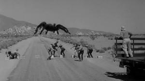Кадры из фильма Тарантул / Tarantula (1955)