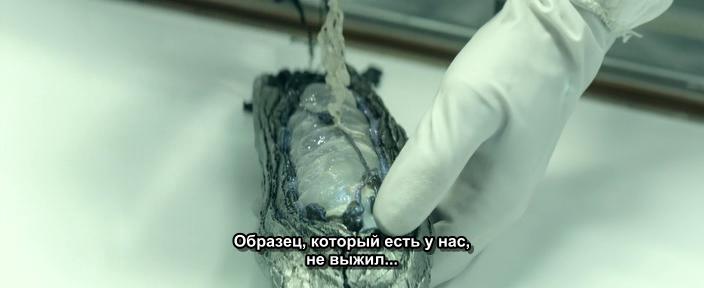Кадр из фильма Вокзал / Terminus (2015)