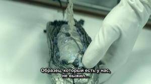 Кадры из фильма Вокзал / Terminus (2015)