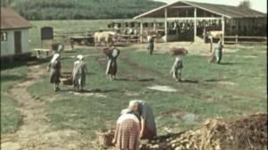 Кадры из фильма Когда поют соловьи (1956)