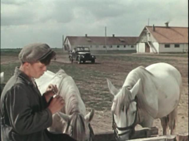 Кадр из фильма Когда поют соловьи (1956)