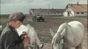 Кадры из фильма Когда поют соловьи (1956)