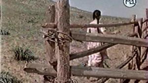 Кадры из фильма Песня табунщика (1956)