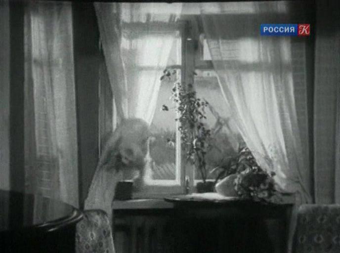 Кадр из фильма Девочка и крокодил (1956)