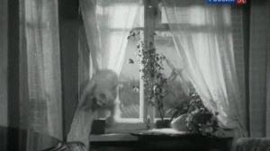 Кадры из фильма Девочка и крокодил (1956)