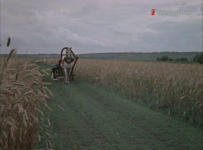 Кадр из фильма Полюшко-поле (1956)